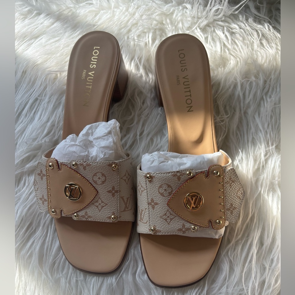 Louis Vuitton LV Frame Mule (unworn)